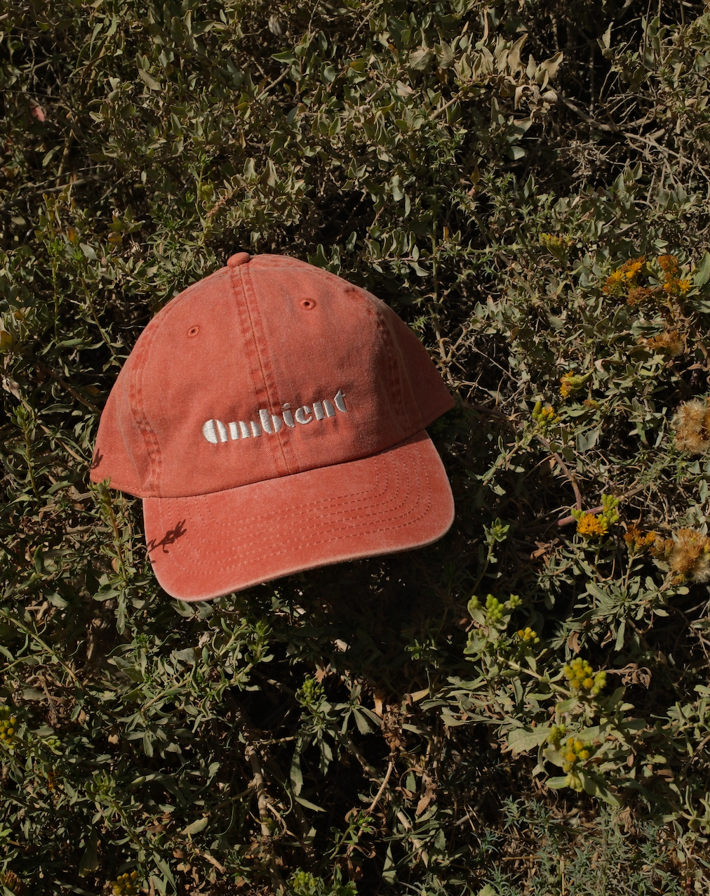 ambient  Pigment Dyed Logo Cap