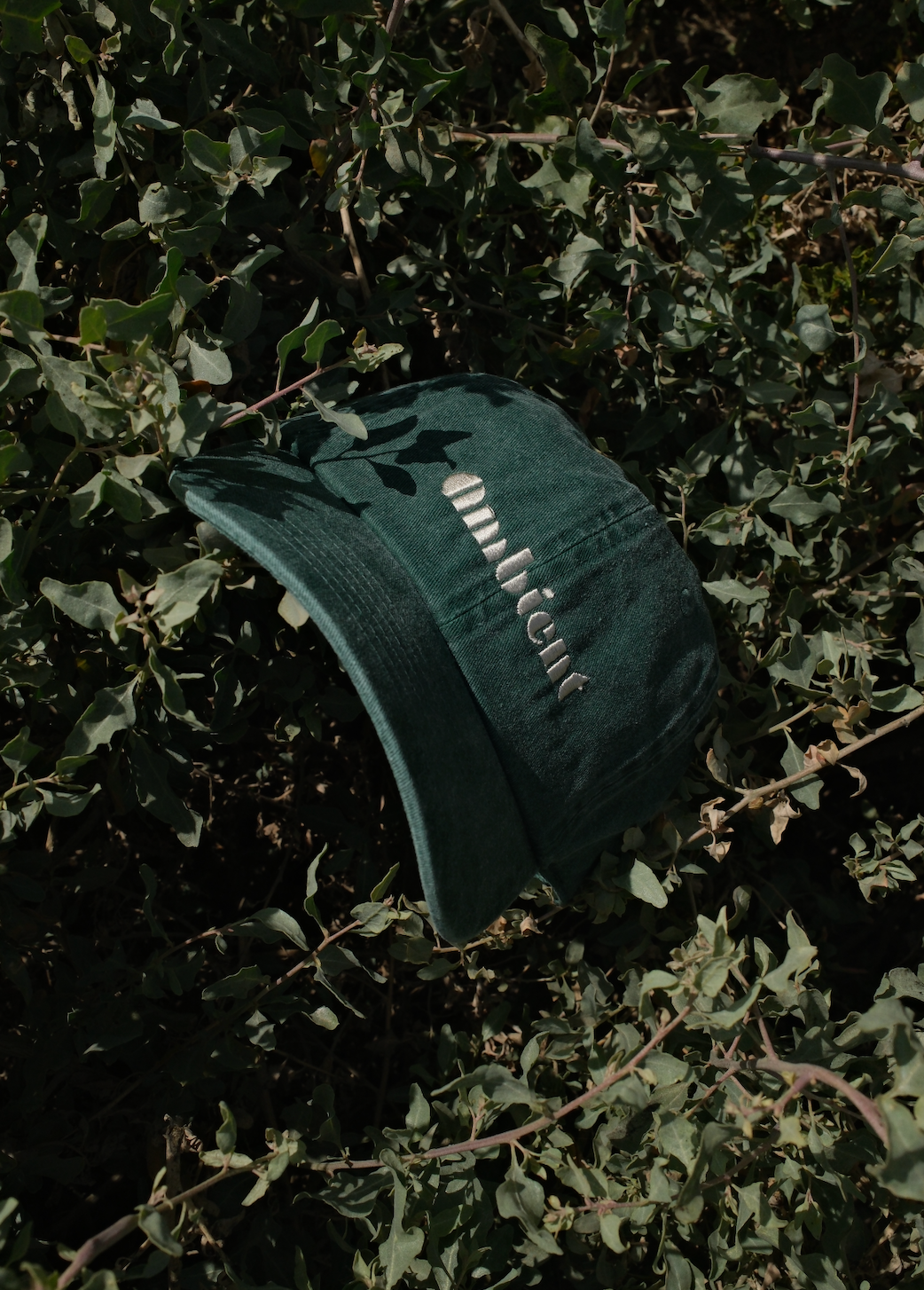 ambient  Pigment Dyed Logo Cap